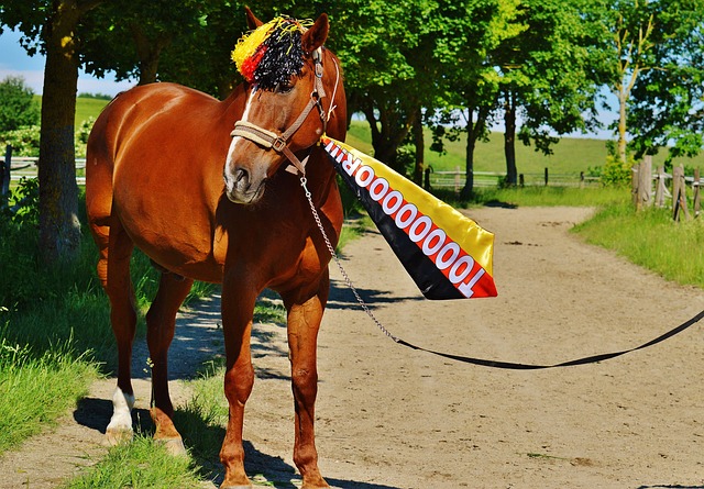 利物浦对罗德里戈兴趣浓厚，其连续31场未进球创纪录，皇马愿以高价出售。