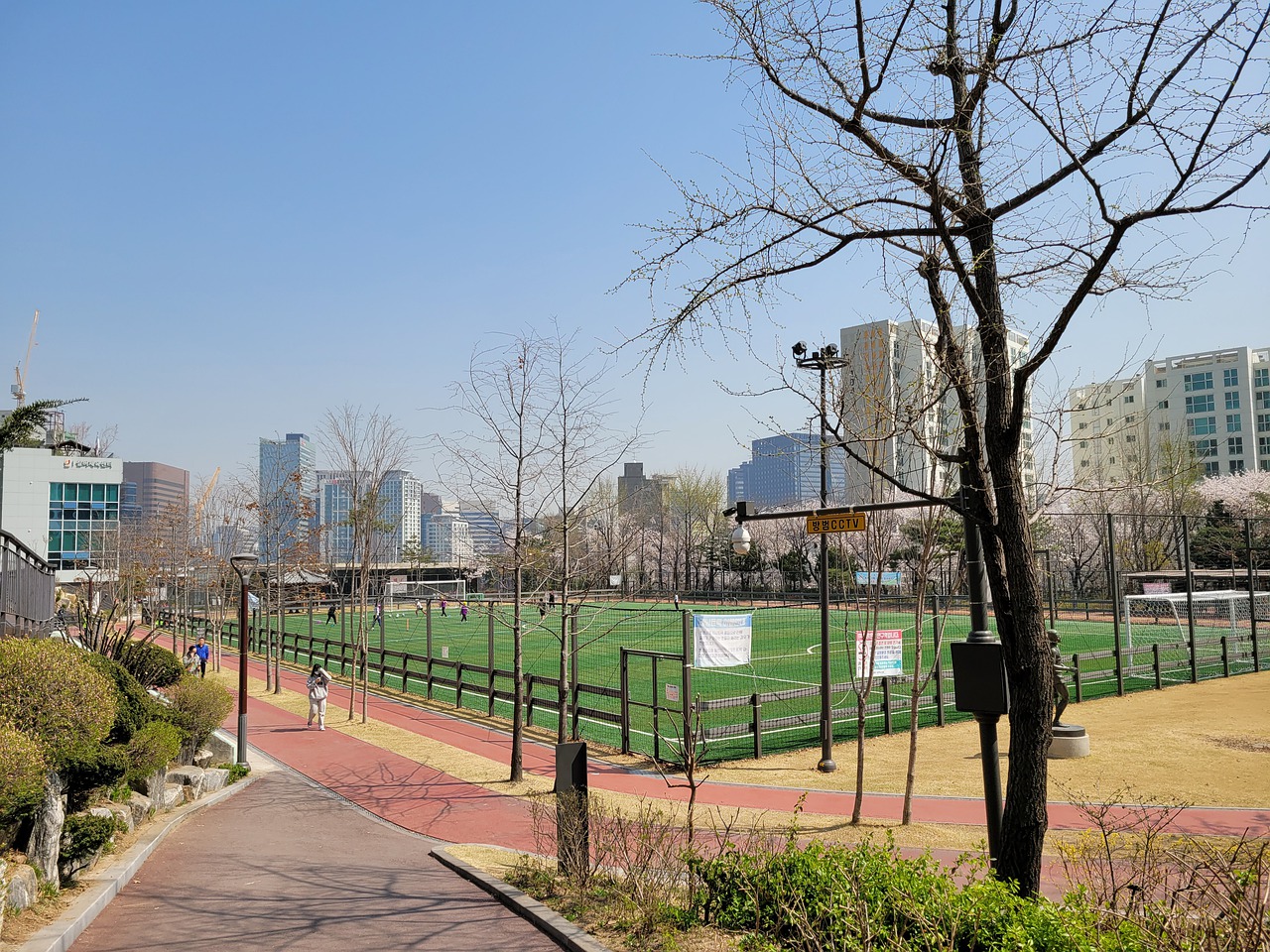 妻子祝贺塞鸟：无比骄傲，你就像一道光照亮了我们全家的生活