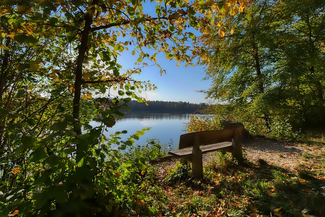 他的成功不 他的成功不