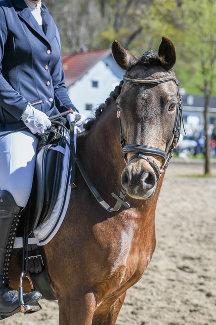 表现得游刃 表现得游刃