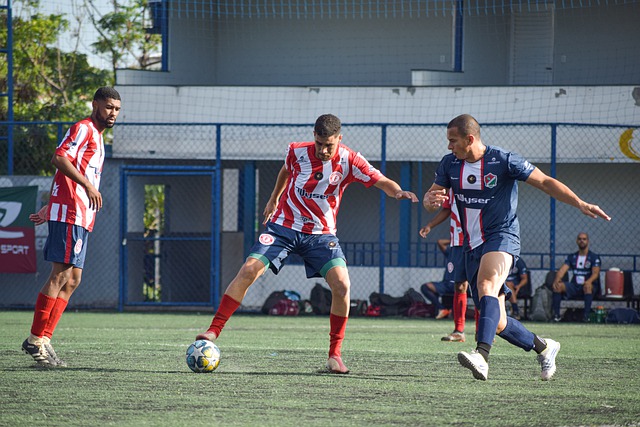 與波什類似 與波什類似